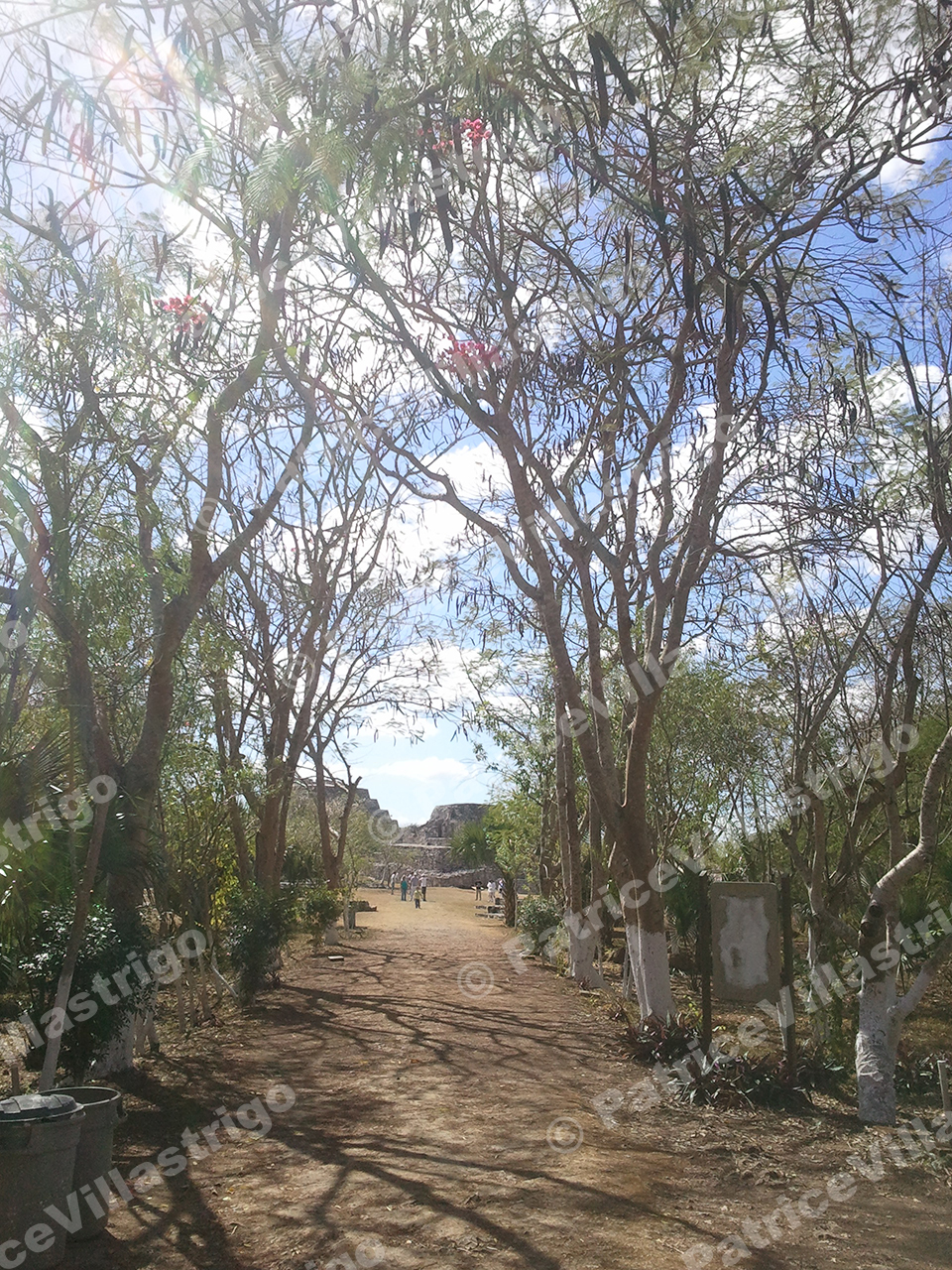 Uxshmal 2013-01-12 12.21.57-S