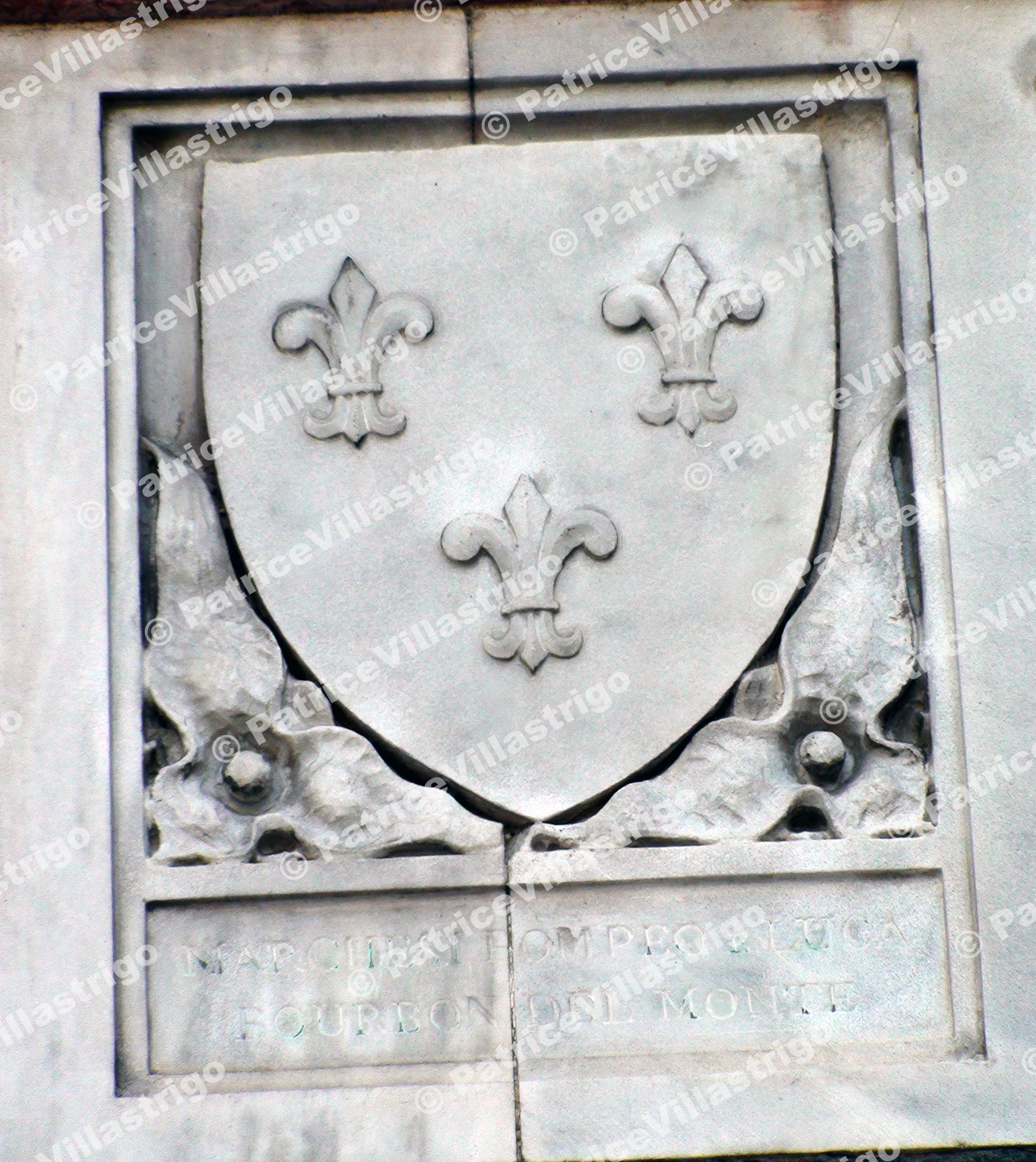 IL Duomo Coat Of Arms L12