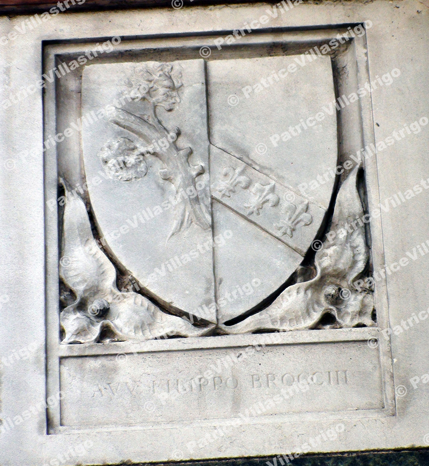 IL Duomo Coat Of Arms L14